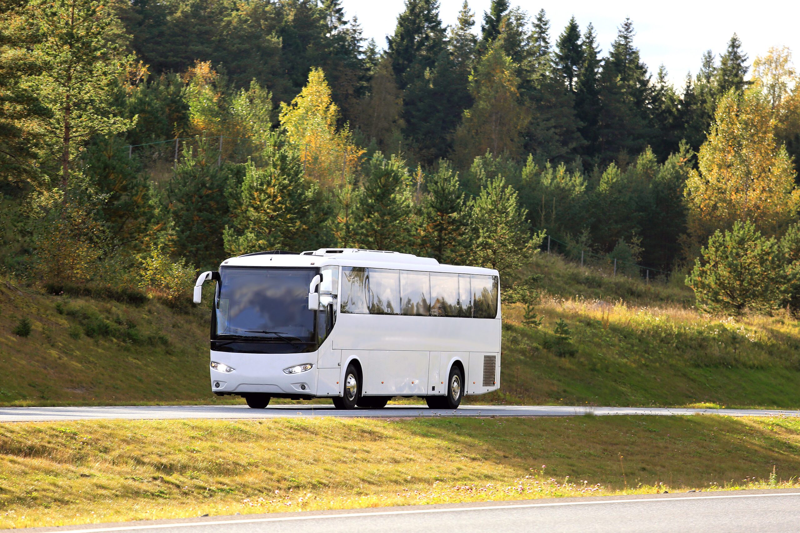 Descenso en el número de empresas de autobuses en los últimos diez años