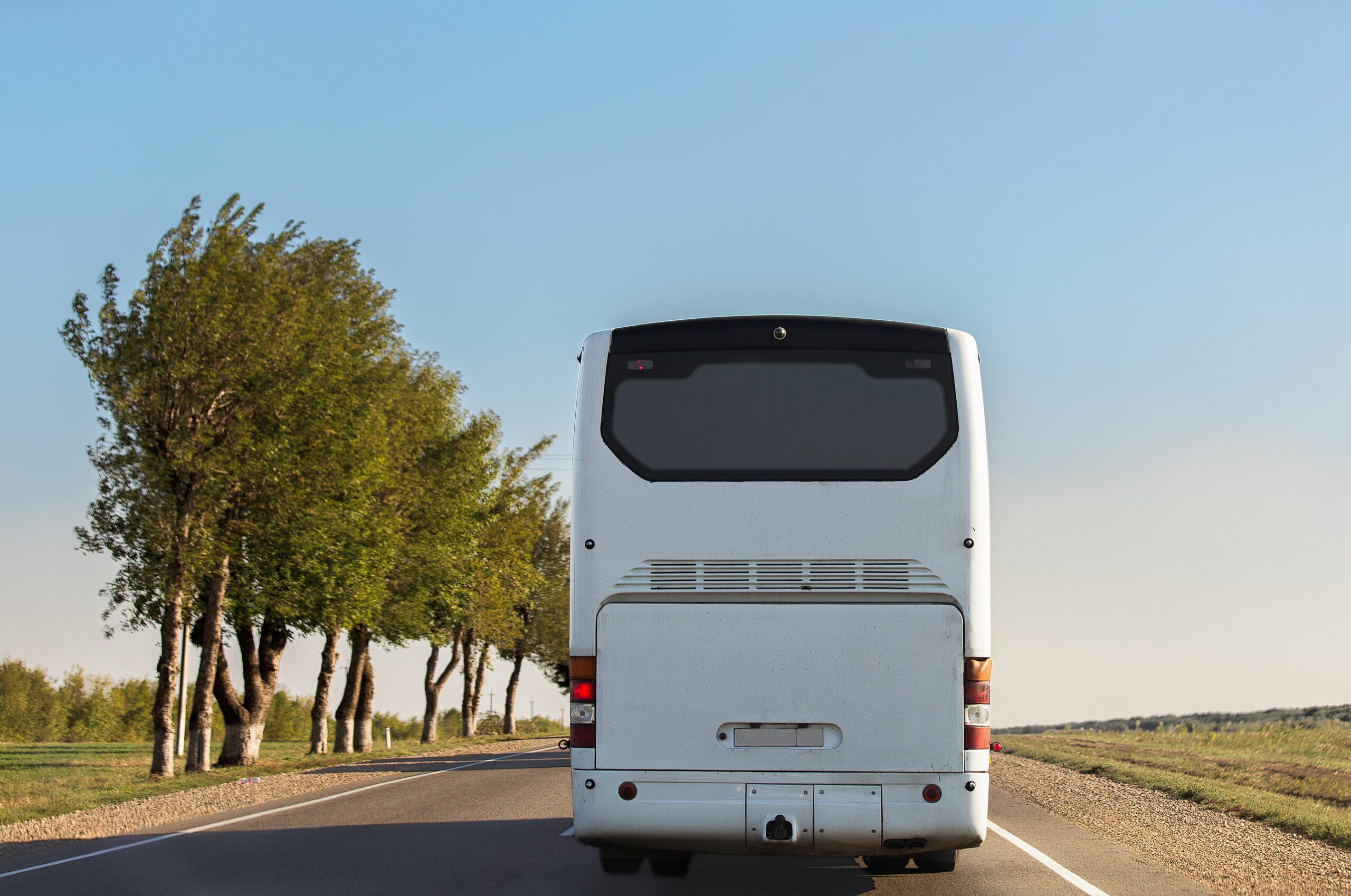 Más flexibilidad para autobuses, pero no para camiones en las nuevas regulaciones de la UE