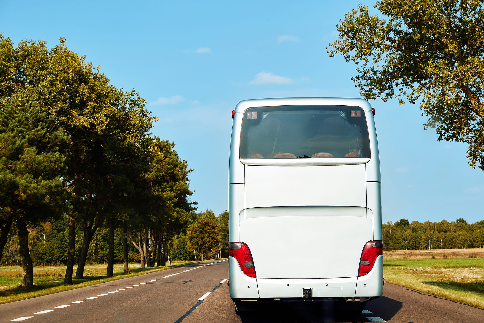 El transporte en autobús de media y larga distancia supera en un 24% los niveles prepandemia