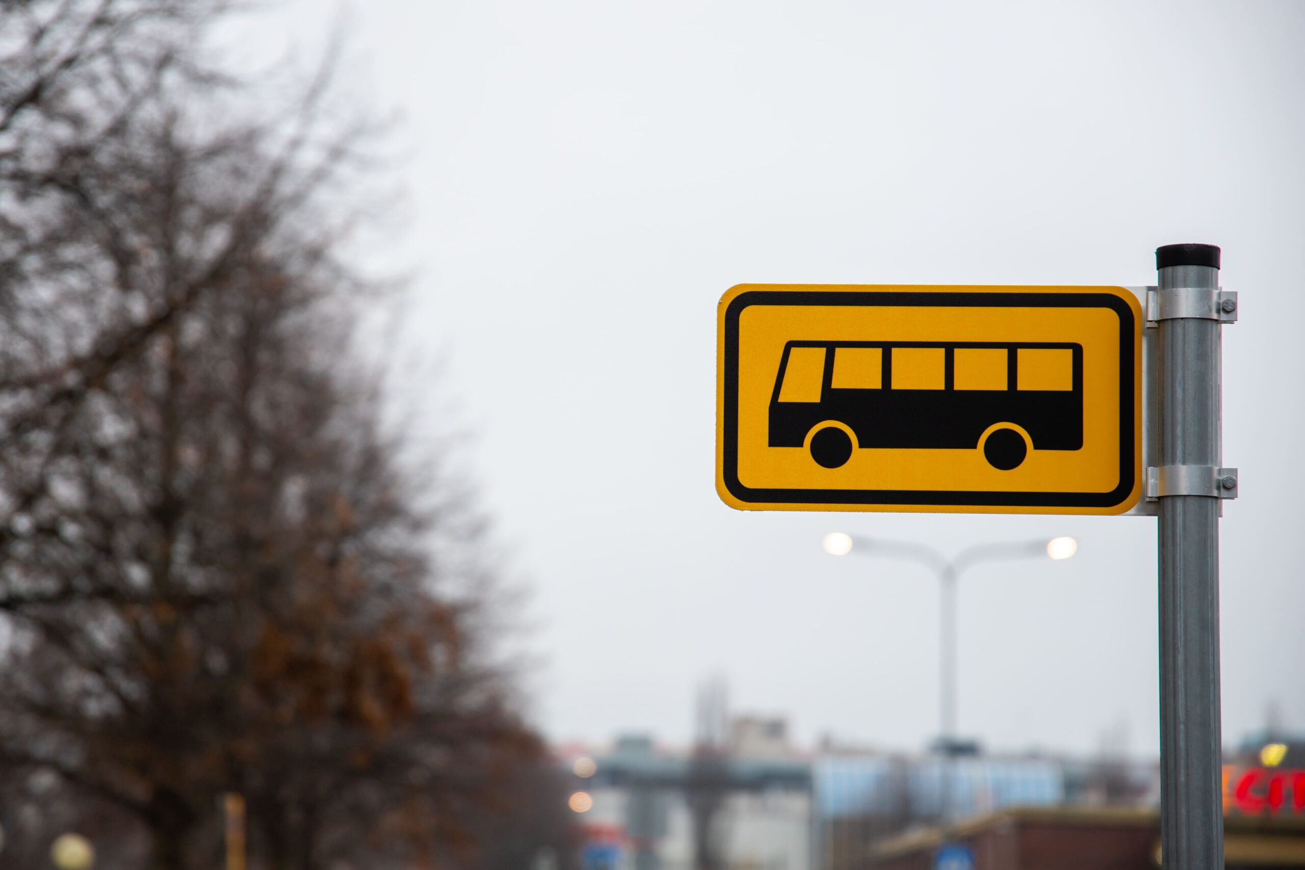 El uso del transporte discrecional crece un 1,7% en 2024 gracias al desarrollo del sector escolar